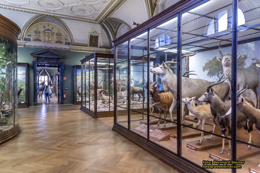 Naturhistorisches Museum Wien - NHM, J�nner 2023