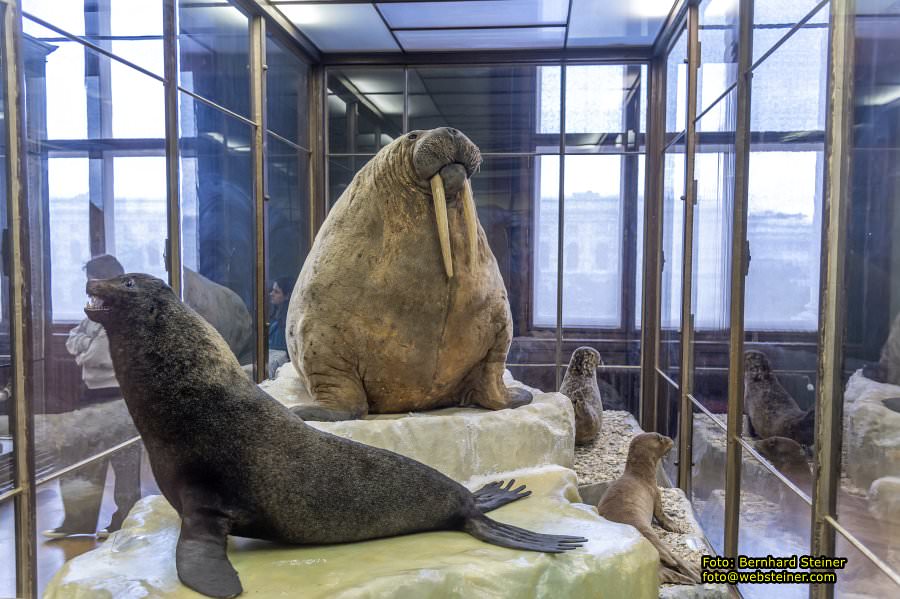 Naturhistorisches Museum Wien - NHM, J�nner 2023