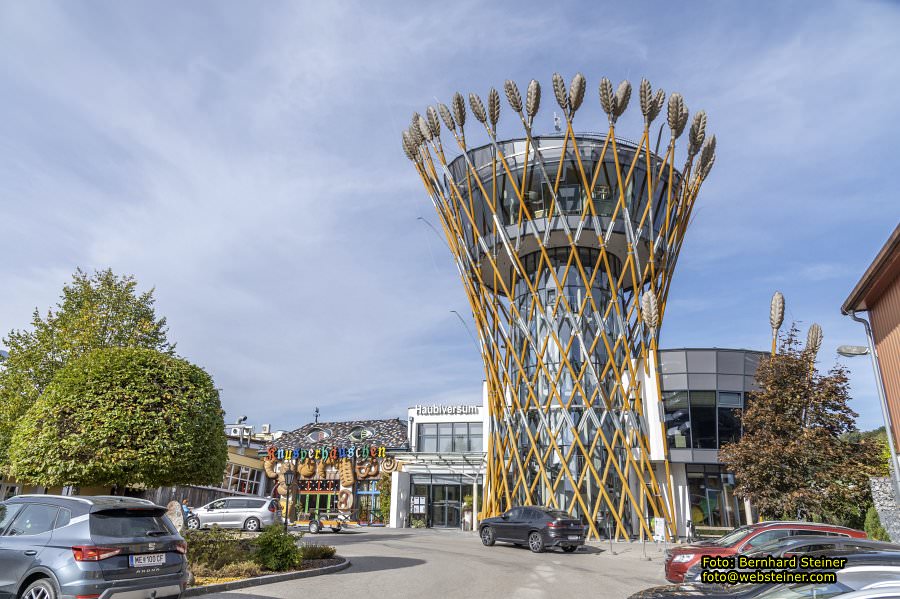 Petzenkirchen, Oktober 2023