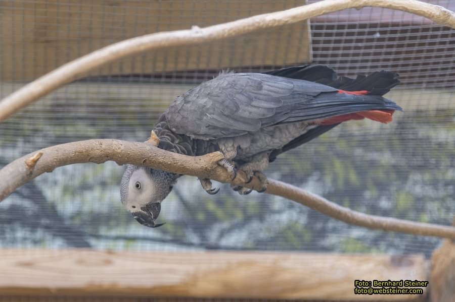 Reptilienzoo Forchtenstein, Mai 2023