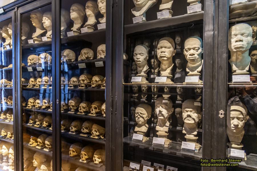 Rollettmuseum, Jänner 2023