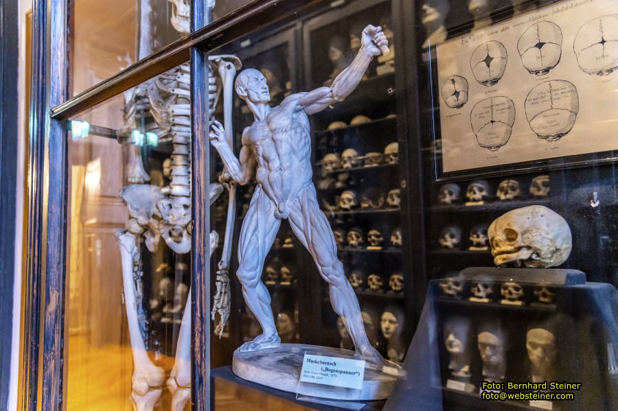 Rollettmuseum, Jänner 2023