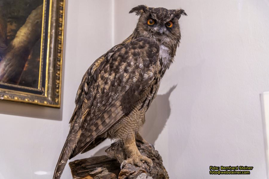 Rollettmuseum, Jänner 2023