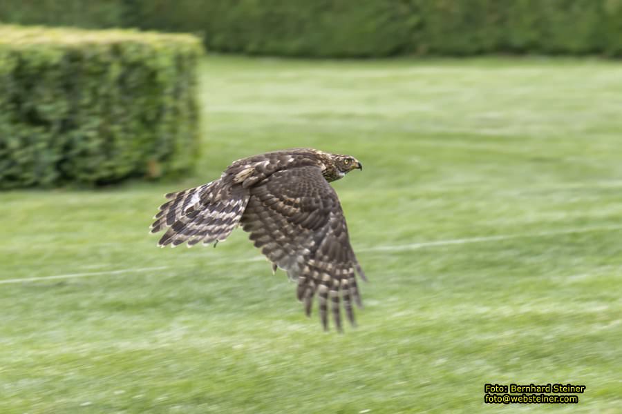 Renaissanceschloss Rosenburg, Juni 2023