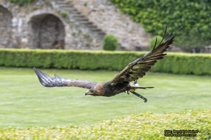 Renaissanceschloss Rosenburg, Juni 2023