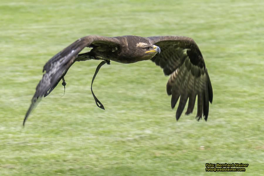 Renaissanceschloss Rosenburg, Juni 2023