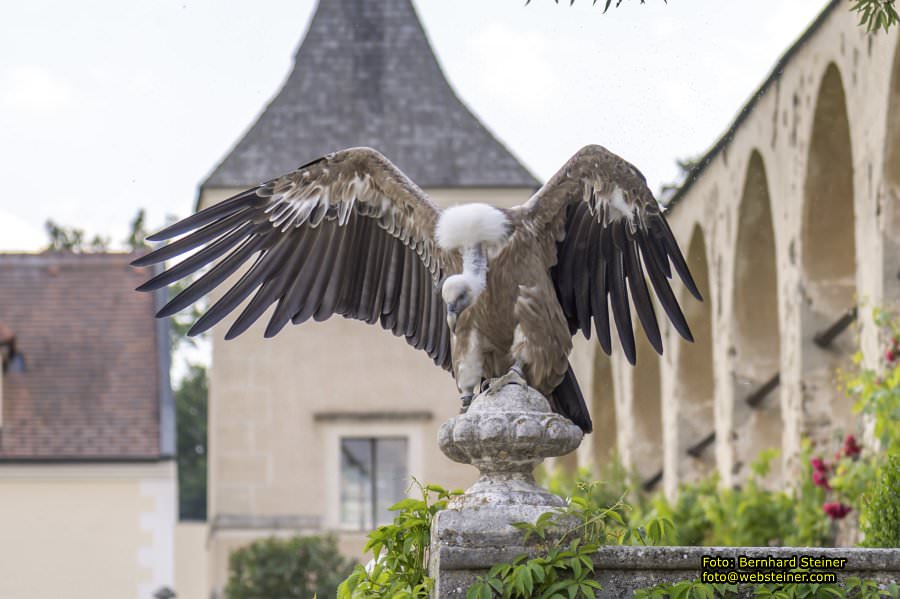 Renaissanceschloss Rosenburg, Juni 2023