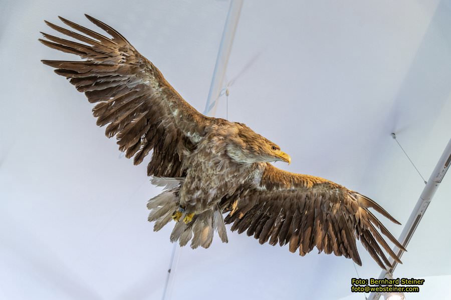 Schloss Eckartsau, Mai 2023