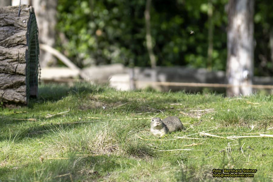 Schloss Orth, Orth an der Donau, Mai 2023