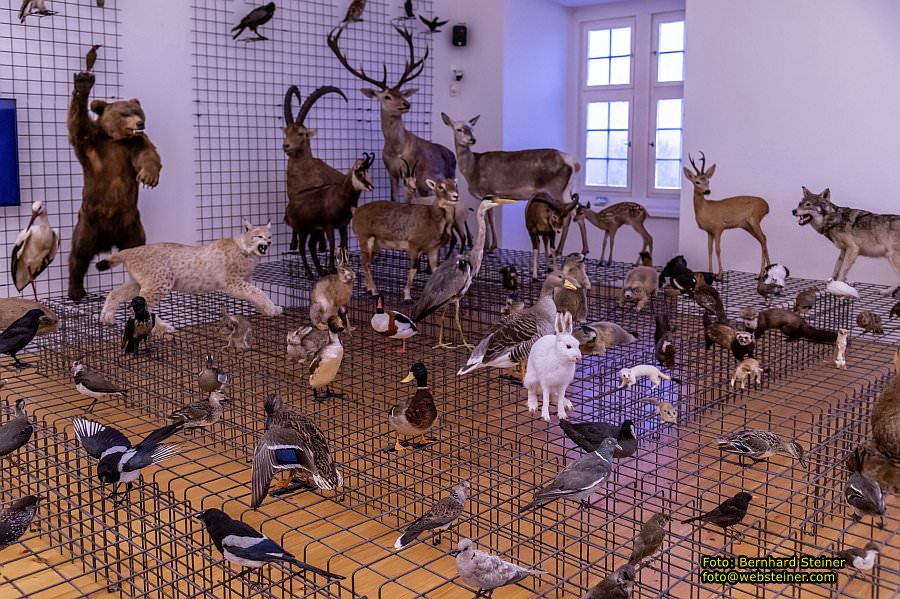 Schloss Stainz, November 2022