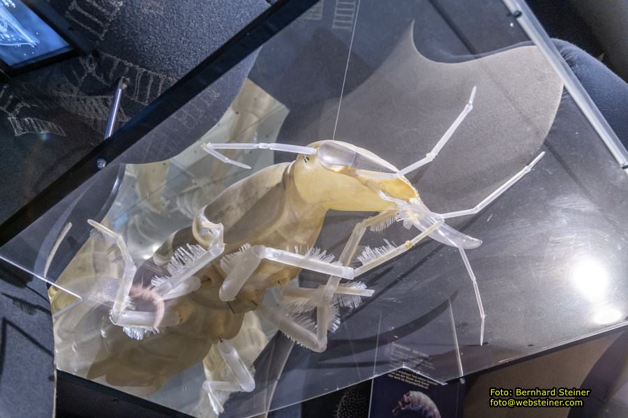 Schrems im Waldviertel, Oktober 2023