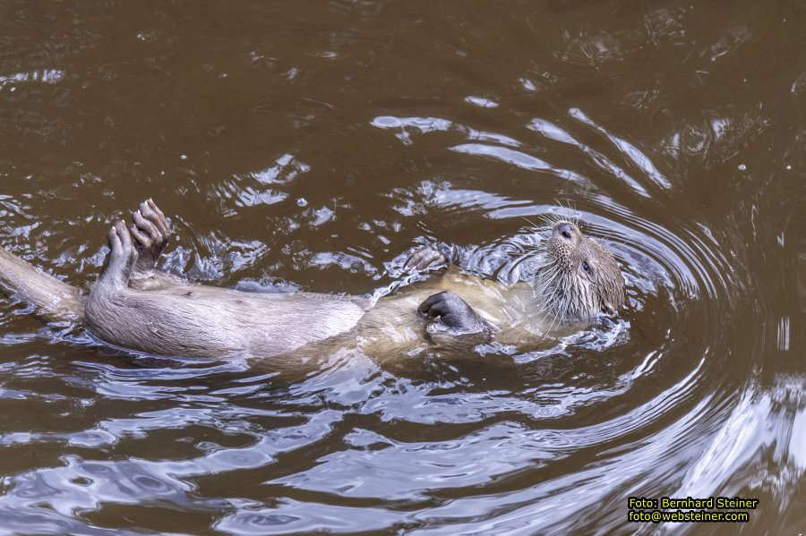 Schrems im Waldviertel, Oktober 2023