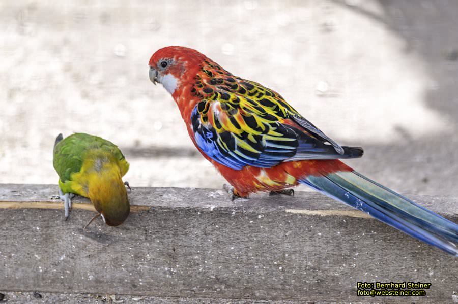 Tierpark Stadt Haag, März 2023