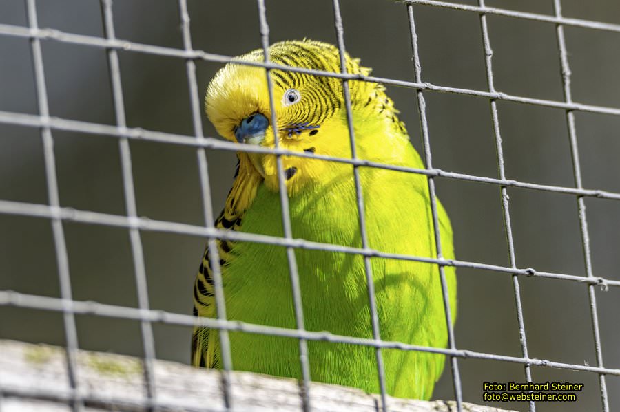 Tierpark Stadt Haag, März 2023