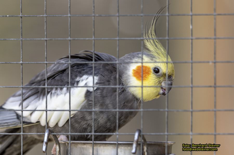 Tierpark Stadt Haag, März 2023