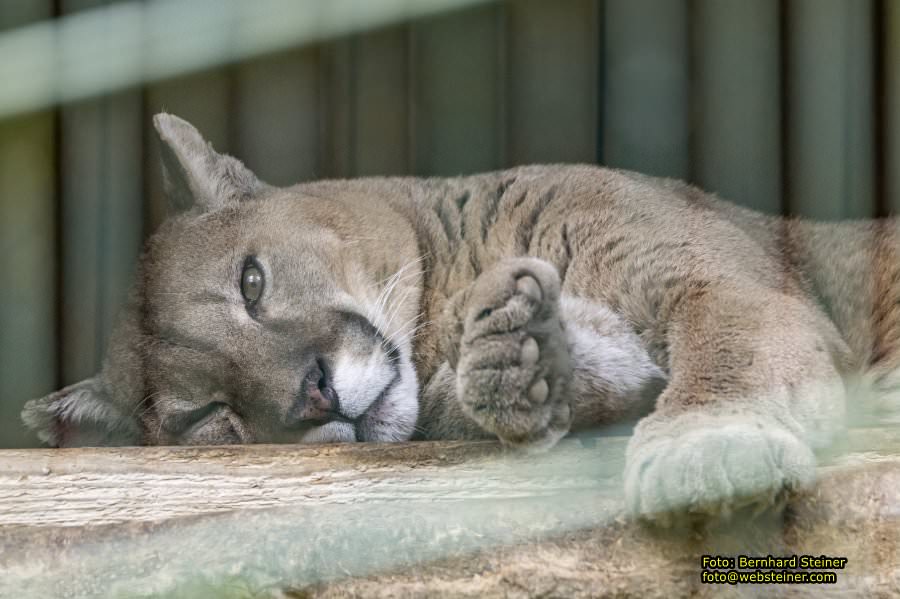 Tierpark Stadt Haag, März 2023