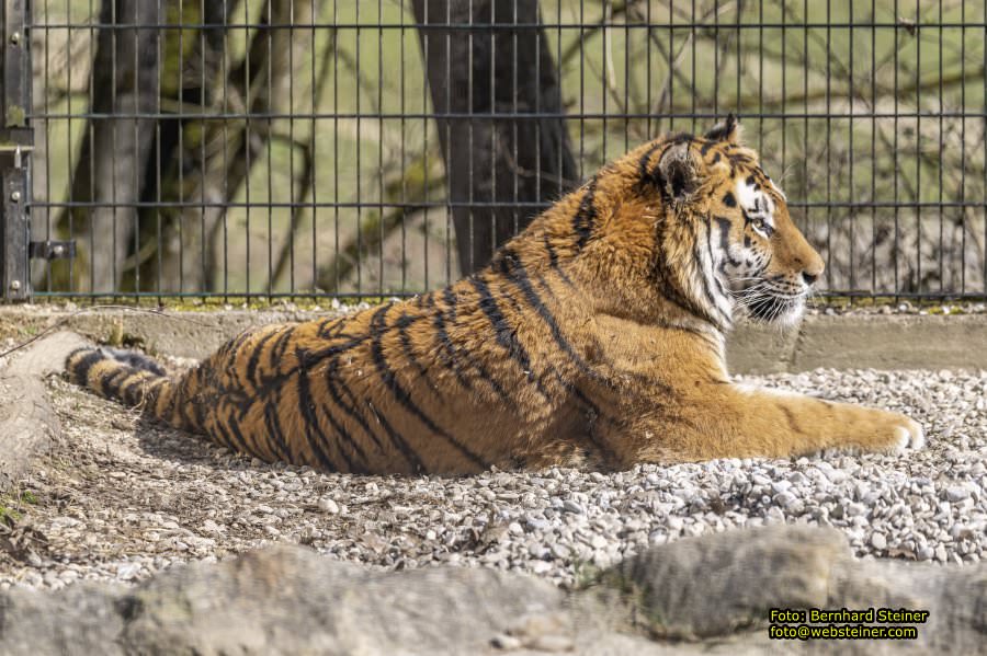 Tierpark Stadt Haag, März 2023