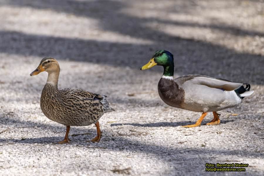 Tierpark Stadt Haag, März 2023