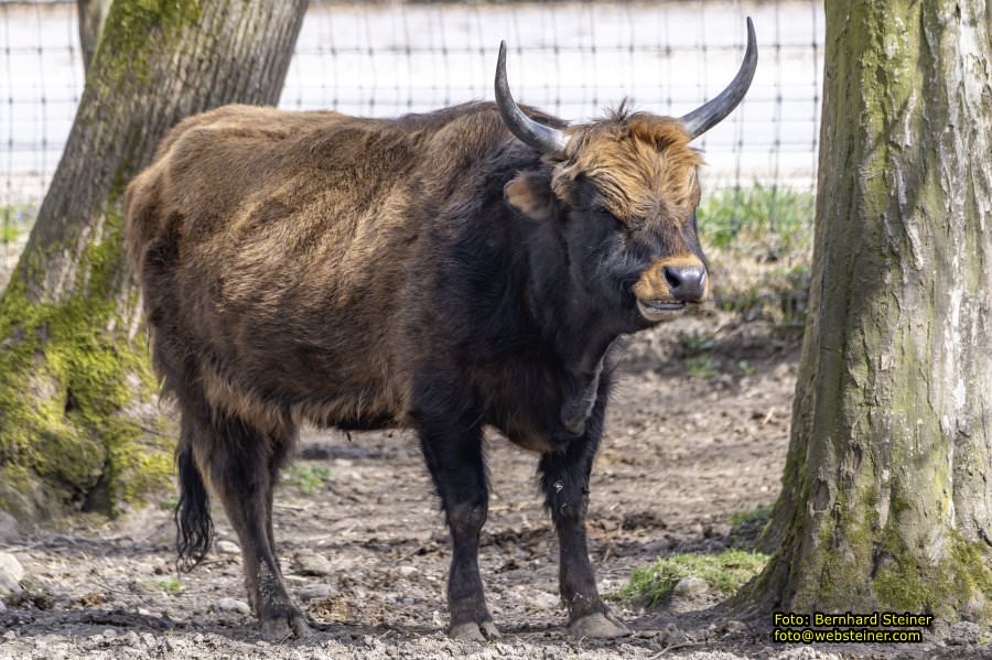 Tierpark Stadt Haag, März 2023