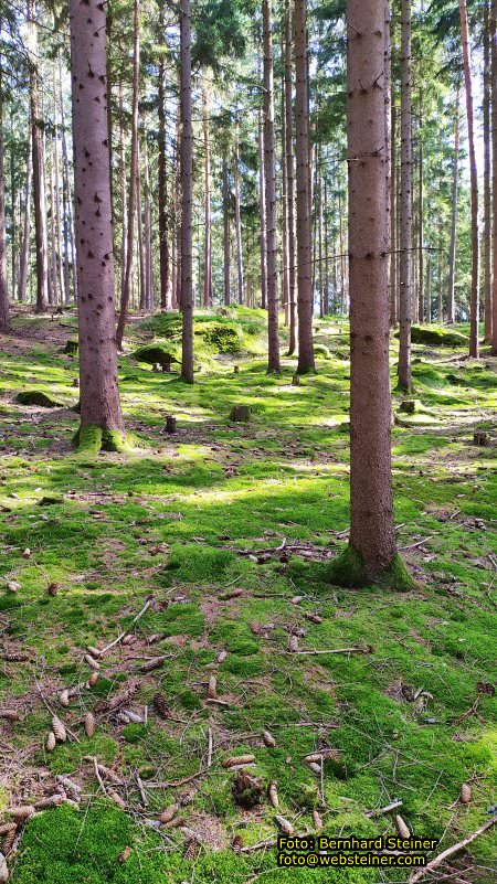 Waldviertel in N