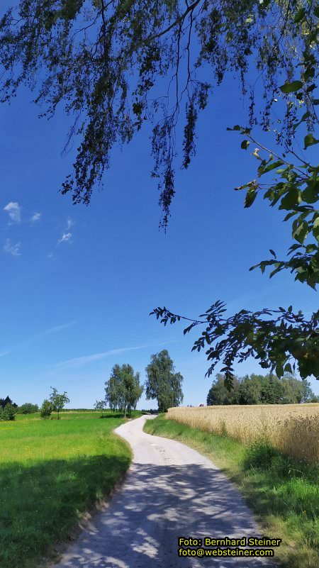 Waldviertel in N