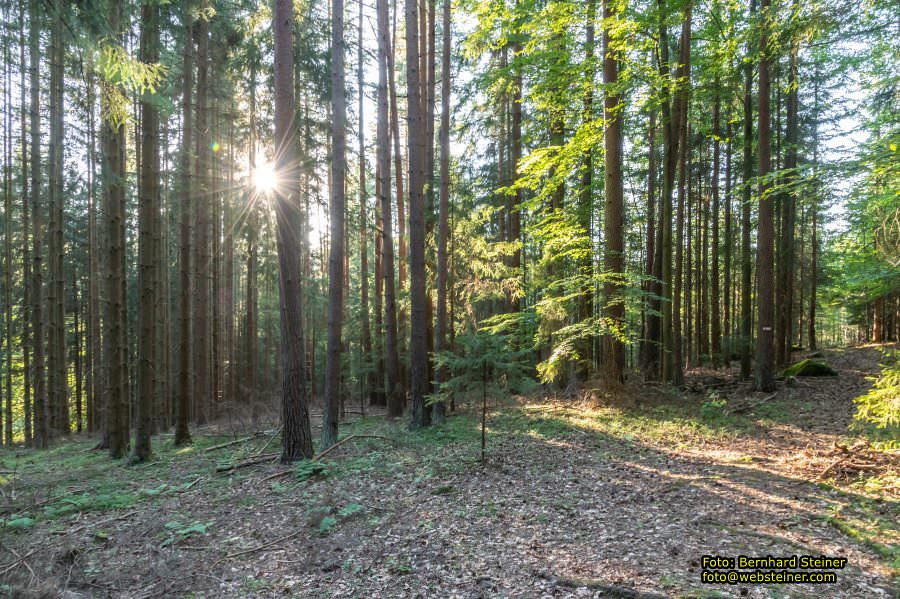 Waldviertel in N