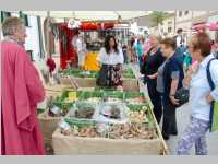 Historisches Kost�mfest in Purbach, 23.08.2014