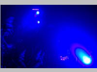 Halloween im Familypark Neusiedlersee, 01.11.2014