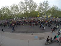 31. Vienna City Marathon, 13.04.2014