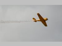 Modellflugshow 2013, 01.09.2013