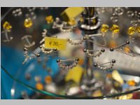 Wildstyle & Tattoo Messe, 20.04.2014