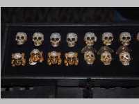 Wildstyle & Tattoo Messe, 20.04.2014