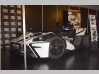 Wildstyle & Tattoo Messe, 20.04.2014