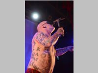 Wildstyle & Tattoo Messe, 20.04.2014