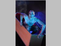 Wildstyle & Tattoo Messe, 20.04.2014