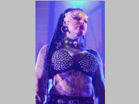 Wildstyle & Tattoo Messe, 20.04.2014