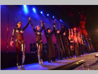 Wildstyle & Tattoo Messe, 20.04.2014