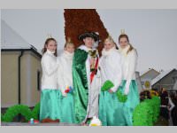 Zillingdorfer Faschingsumzug, 12.02.2013