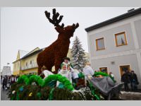 Zillingdorfer Faschingsumzug, 12.02.2013
