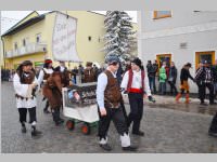 Zillingdorfer Faschingsumzug, 12.02.2013