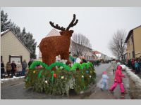 Zillingdorfer Faschingsumzug, 12.02.2013