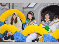 Zillingdorfer Faschingsumzug, 12.02.2013