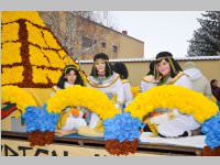 Zillingdorfer Faschingsumzug, 12.02.2013