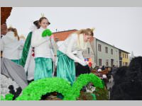 Zillingdorfer Faschingsumzug, 12.02.2013