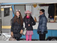 Zillingdorfer Faschingsumzug, 12.02.2013