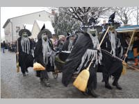 Zillingdorfer Faschingsumzug, 12.02.2013