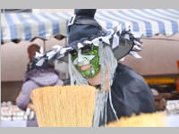 Zillingdorfer Faschingsumzug, 12.02.2013