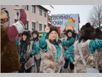 Zillingdorfer Faschingsumzug, 12.02.2013