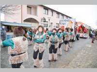 Zillingdorfer Faschingsumzug, 12.02.2013