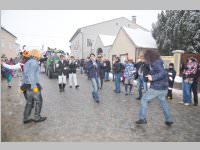 Zillingdorfer Faschingsumzug, 12.02.2013